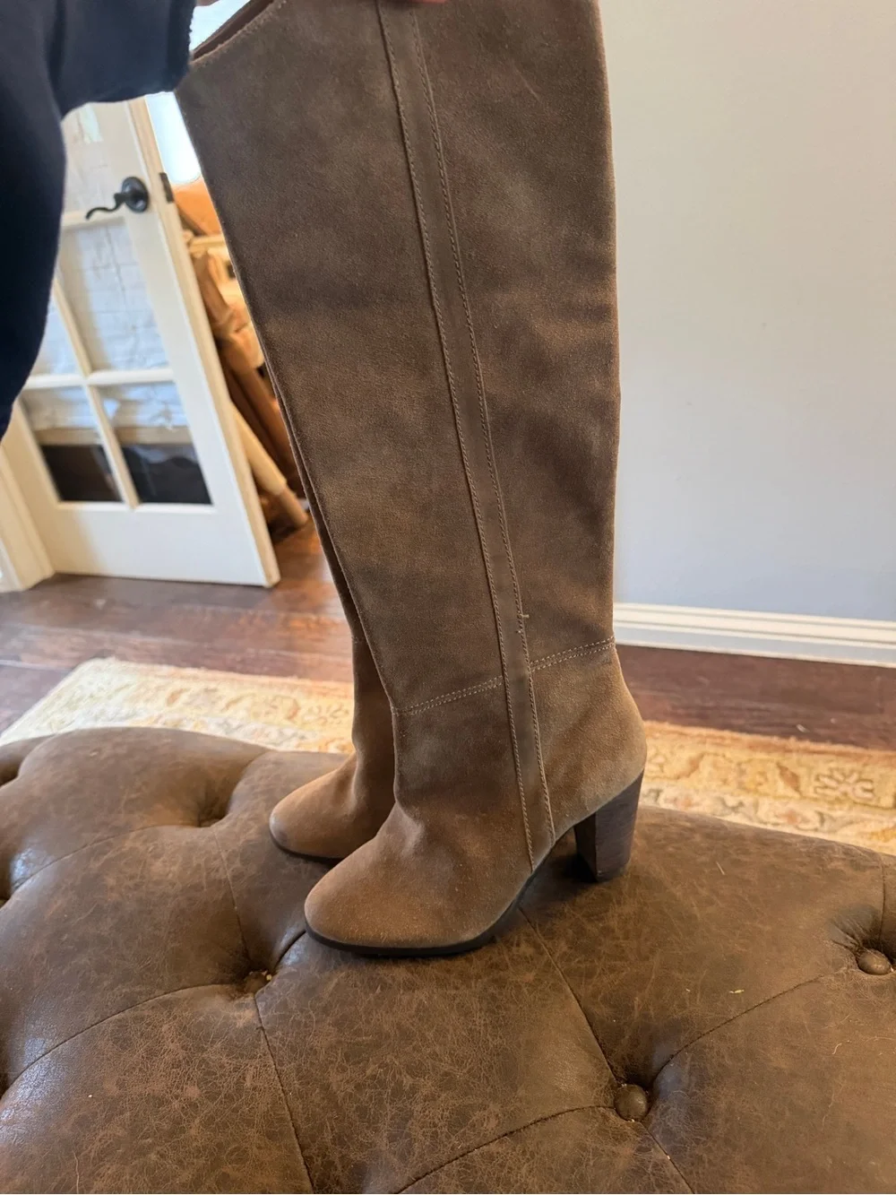 Dolce Vita tall suede